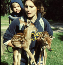 Orphaned Fawns
